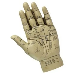 Design Toscano The Palmistry Hand Sculpture 9 Design Toscano The Palmistry Hand Sculpture -Design Toscano GUEST 01751daa 211d 4b37 b7bb 010e987425b7