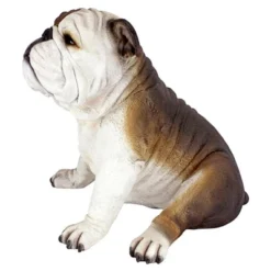 Design Toscano Buster The Bulldog Sculpture: Set Of Two -Design Toscano GUEST 025715fa 3d7d 4640 8269 52558afa6d1a