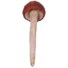 Design Toscano Garden Gnome Wild Mushroom Stake Collection: Button 1 Design Toscano Garden Gnome Wild Mushroom Stake Collection: Button -Design Toscano GUEST 04247216 4280 445a 9000 43050835f273