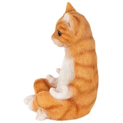 Design Toscano Zen Kitty Meditating Cat Statue 11 Design Toscano Zen Kitty Meditating Cat Statue -Design Toscano GUEST 0c8758c6 bf77 443a 8102 66d060bab963