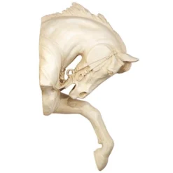 Design Toscano The Thoroughbred Horse High Relief Wall Sculpture 14 Design Toscano The Thoroughbred Horse High Relief Wall Sculpture -Design Toscano GUEST 1dc1d995 98ba 45ef 906c 278d4cc8b782