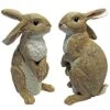 Design Toscano Hopper, The Bunny, Standing Garden Rabbit Statue: Set Of Two 1 Design Toscano Hopper, The Bunny, Standing Garden Rabbit Statue: Set Of Two -Design Toscano GUEST 1f70ece8 91fe 4f48 a188 7643e67bf22d