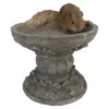 Design Toscano Hunter, The Woodland Squirrel Statue 2 Design Toscano Hunter, The Woodland Squirrel Statue -Design Toscano GUEST 25697db4 a407 44c3 b3db c456c90d3982