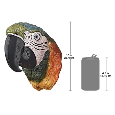 Design Toscano Paradise Parrot Head Wall Sculpture 4 Design Toscano Paradise Parrot Head Wall Sculpture - Image 2