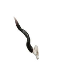 Design Toscano Kudu African Wall Trophy 13 Design Toscano Kudu African Wall Trophy -Design Toscano GUEST 2f711fc3 0c69 4b86 bf76 4e6d76499c6c