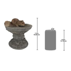 Design Toscano Hunter, The Woodland Squirrel Statue -Design Toscano GUEST 30d46856 e1bd 4ee7 ad06 7f95ac7027c3