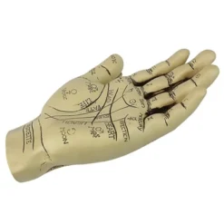 Design Toscano The Palmistry Hand Sculpture 10 Design Toscano The Palmistry Hand Sculpture -Design Toscano GUEST 44328d8c c608 4ffc 9066 e6835b908c9d