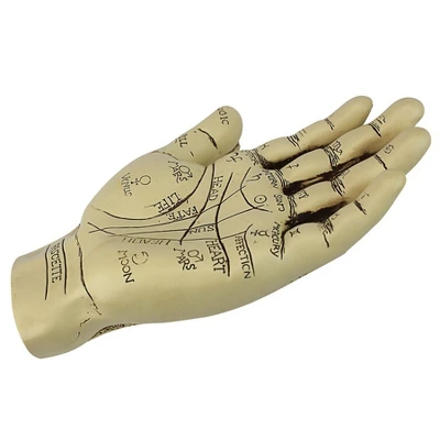 Design Toscano The Palmistry Hand Sculpture 5 Design Toscano The Palmistry Hand Sculpture - Image 3