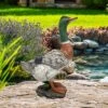 Design Toscano Mallard Duck Statue - Multicolored 1 Design Toscano Mallard Duck Statue - Multicolored -Design Toscano GUEST 46b80a15 f0d5 4948 acd1 a6fe0716f728