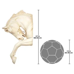 Design Toscano The Thoroughbred Horse High Relief Wall Sculpture 15 Design Toscano The Thoroughbred Horse High Relief Wall Sculpture -Design Toscano GUEST 48f1970c 7871 4897 acb1 b4bd84cc149f