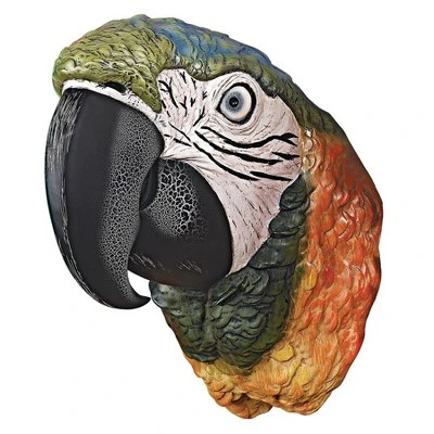 Design Toscano Paradise Parrot Head Wall Sculpture 3 Design Toscano Paradise Parrot Head Wall Sculpture