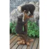 Design Toscano Climbing Cubs Black Bear Statue - Black 2 Design Toscano Climbing Cubs Black Bear Statue - Black -Design Toscano GUEST 53696e32 5711 4b97 a3b1 c80f4e67968f