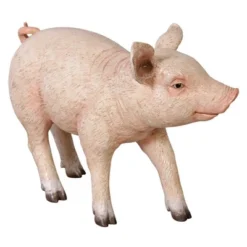 Design Toscano Piglet Porker, Baby Hog Sculpture 11 Design Toscano Piglet Porker, Baby Hog Sculpture -Design Toscano GUEST 5badccce 48ce 494a 8b2d 422482557283