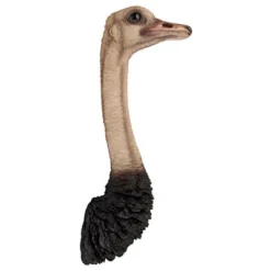 Design Toscano Ostrich Bird Trophy Wall Sculpture -Design Toscano GUEST 64c24820 5ddf 4834 be4e c2939e40de2f