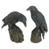 Design Toscano Mystic Night Raven Statues 1 Design Toscano Mystic Night Raven Statues -Design Toscano GUEST 69d37cf4 f9e4 4b8a 87dc 813075a6bc20