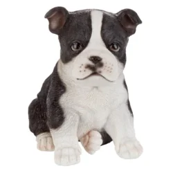 Design Toscano Boston Terrier Puppy Partner Collectible Dog Statue - Multicolored 7 Design Toscano Boston Terrier Puppy Partner Collectible Dog Statue - Multicolored -Design Toscano GUEST 6afc5935 8b53 4a17 b52f d83c86cdecb5