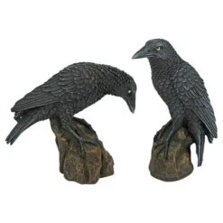 Design Toscano Mystic Night Raven Statues 12 Design Toscano Mystic Night Raven Statues -Design Toscano GUEST 6b4d35e4 6781 44ed 9249 fcdb8170e87e