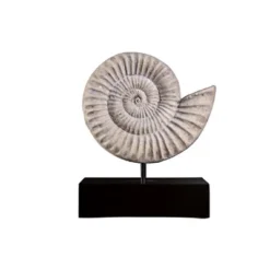 Design Toscano Ammonite Fossil Sculpture On Museum Mount 10 Design Toscano Ammonite Fossil Sculpture On Museum Mount -Design Toscano GUEST 71d16588 1101 48a9 b02e d704559a9db7