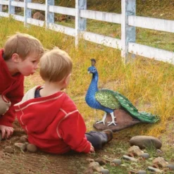 Design Toscano The Regal Peacock Garden Statue - Multicolored 7 Design Toscano The Regal Peacock Garden Statue - Multicolored -Design Toscano GUEST 84af9a63 c899 477b b8b4 36fbc1d39e7a