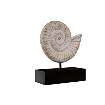 Design Toscano Ammonite Fossil Sculpture On Museum Mount 5 Design Toscano Ammonite Fossil Sculpture On Museum Mount - Image 3