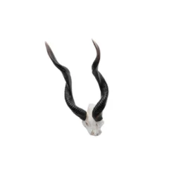Design Toscano Kudu African Wall Trophy 12 Design Toscano Kudu African Wall Trophy -Design Toscano GUEST 8ab99d4d a632 4236 91ac 915a884be690