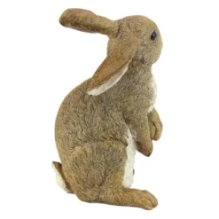 Design Toscano Hopper, The Bunny, Standing Garden Rabbit Statue 9 Design Toscano Hopper, The Bunny, Standing Garden Rabbit Statue -Design Toscano GUEST 8b7a69b9 73bb 4a5e 9427 e10cb3a09e13