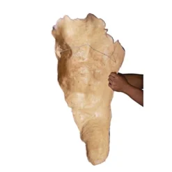 Design Toscano Alexander The Great Torso Wall Sculpture 10 Design Toscano Alexander The Great Torso Wall Sculpture -Design Toscano GUEST 904c8ccf 432c 4011 b583 6629d4c5b76a