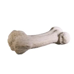 Design Toscano Gigantic Dinosaur Bone Sculpture 14 Design Toscano Gigantic Dinosaur Bone Sculpture -Design Toscano GUEST 9a90ab5b 6213 42a3 ba6a 29b642898766