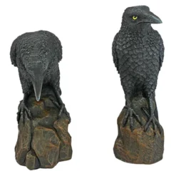 Design Toscano Mystic Night Raven Statues 9 Design Toscano Mystic Night Raven Statues -Design Toscano GUEST 9ddbbed1 1cb7 4006 8c25 21e93de0982a
