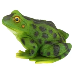 Design Toscano Ribbit The Frog, Garden Toad Statue 8 Design Toscano Ribbit The Frog, Garden Toad Statue -Design Toscano GUEST a9f469d9 9250 41cd 9e76 f17415b9b174