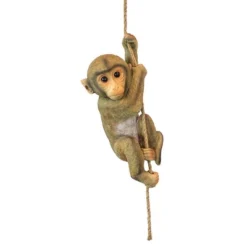 Design Toscano Chico, The Chimpanzee Hanging Baby Monkey Statue 7 Design Toscano Chico, The Chimpanzee Hanging Baby Monkey Statue -Design Toscano GUEST af43c18a 1dc5 4b31 82b3 ea911cd42bfc