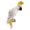 Design Toscano Sulphur-Crested Cockatoo Wall Sculpture 1 Design Toscano Sulphur-Crested Cockatoo Wall Sculpture -Design Toscano GUEST b3f698a7 04a2 454c abac 2ce686a6348e