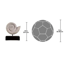Design Toscano Ammonite Fossil Sculpture On Museum Mount 11 Design Toscano Ammonite Fossil Sculpture On Museum Mount -Design Toscano GUEST c3c54c5b 0a3f 4782 ae44 207dd635a254