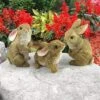 Design Toscano The Bunny Den, Garden Rabbit Statues, Set Of 3 - Brown 1 Design Toscano The Bunny Den, Garden Rabbit Statues, Set Of 3 - Brown -Design Toscano GUEST cabb2aac 6315 4889 83ca a5f6262fca73