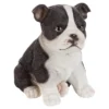 Design Toscano Boston Terrier Puppy Partner Collectible Dog Statue - Multicolored 2 Design Toscano Boston Terrier Puppy Partner Collectible Dog Statue - Multicolored -Design Toscano GUEST d21e0d20 4a7e 494c b08c 09ba59f046cf