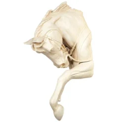 Design Toscano The Thoroughbred Horse High Relief Wall Sculpture 11 Design Toscano The Thoroughbred Horse High Relief Wall Sculpture -Design Toscano GUEST dac2bfb6 13c7 4c09 90f4 6b0037e17153