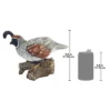 Design Toscano Coco, The Quail Bird Statue 2 Design Toscano Coco, The Quail Bird Statue -Design Toscano GUEST dbd24079 618b 4558 aa15 5b88007d602e