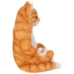 Design Toscano Zen Kitty Meditating Cat Statue 13 Design Toscano Zen Kitty Meditating Cat Statue -Design Toscano GUEST f182a1a8 38e1 4879 acf0 e6e9a01c878d