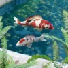Design Toscano Japanese Inspired Floating Koi Sculpture Collection -Design Toscano GUEST f8309b91 f93c 400e ab23 b46ded13df7f